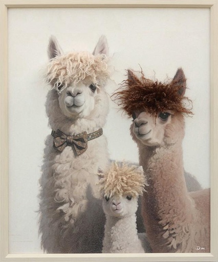 [P0008086] Bild mit Rahmen 3D "3 Lamas" 50x60cm